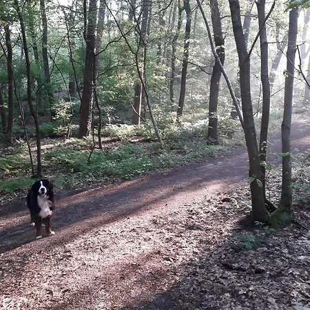 De Kleine Voskuil 3*