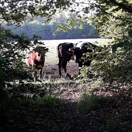 De Kleine Voskuil Frühstückspension 3*