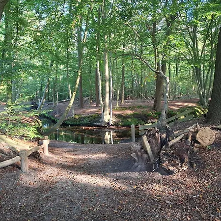 De Kleine Voskuil Hulshorst