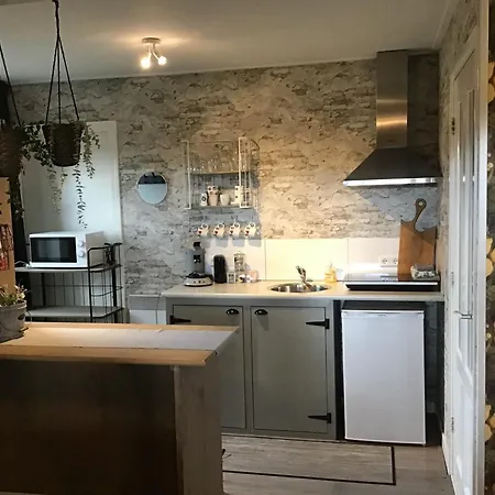 Bed & Breakfast De Kleine Voskuil Hulshorst