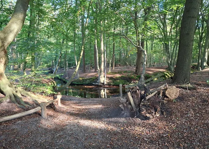 De Kleine Voskuil Hulshorst