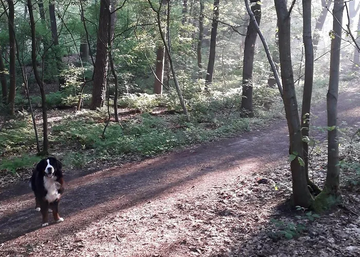 De Kleine Voskuil 3*