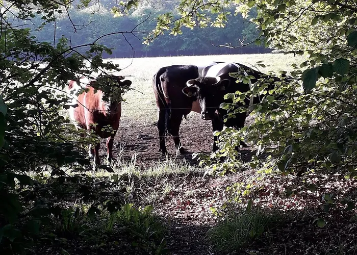 De Kleine Voskuil B&B 3*